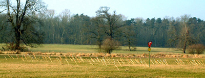 target